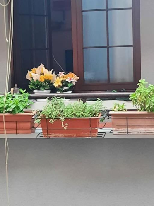 N&Ghomesweethome Raffaelloelegante Appartamento Ideale Casa Vacanze Affari Milano Dış mekan fotoğraf